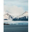 Print of the Month